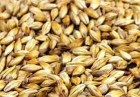 Whole Grain Malt | Home Brew Supplies